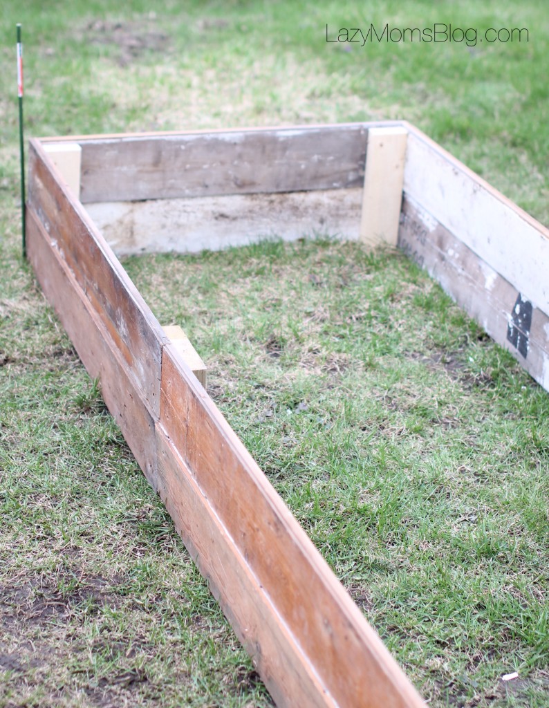 Build a raised bed 
