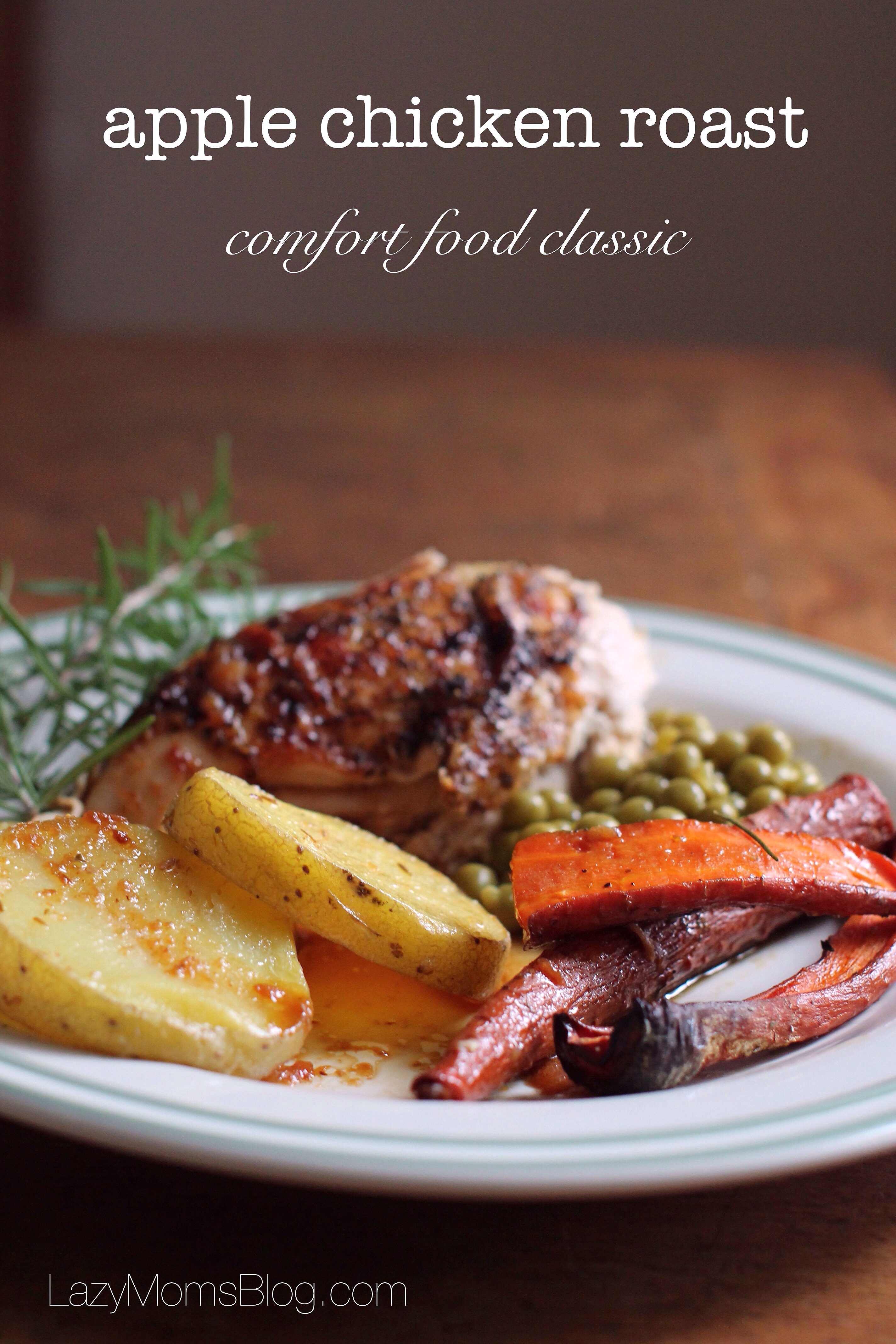 This apple chicken roast is so simple to prepare yet so delicious and comforting. It's my family's all time fauvrire recipie.